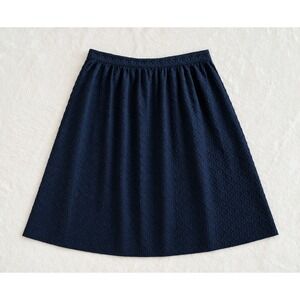 J Crew Skirt Womens 14 Blue Eyelet Lined A Line Cotton Lined  Career Preppy